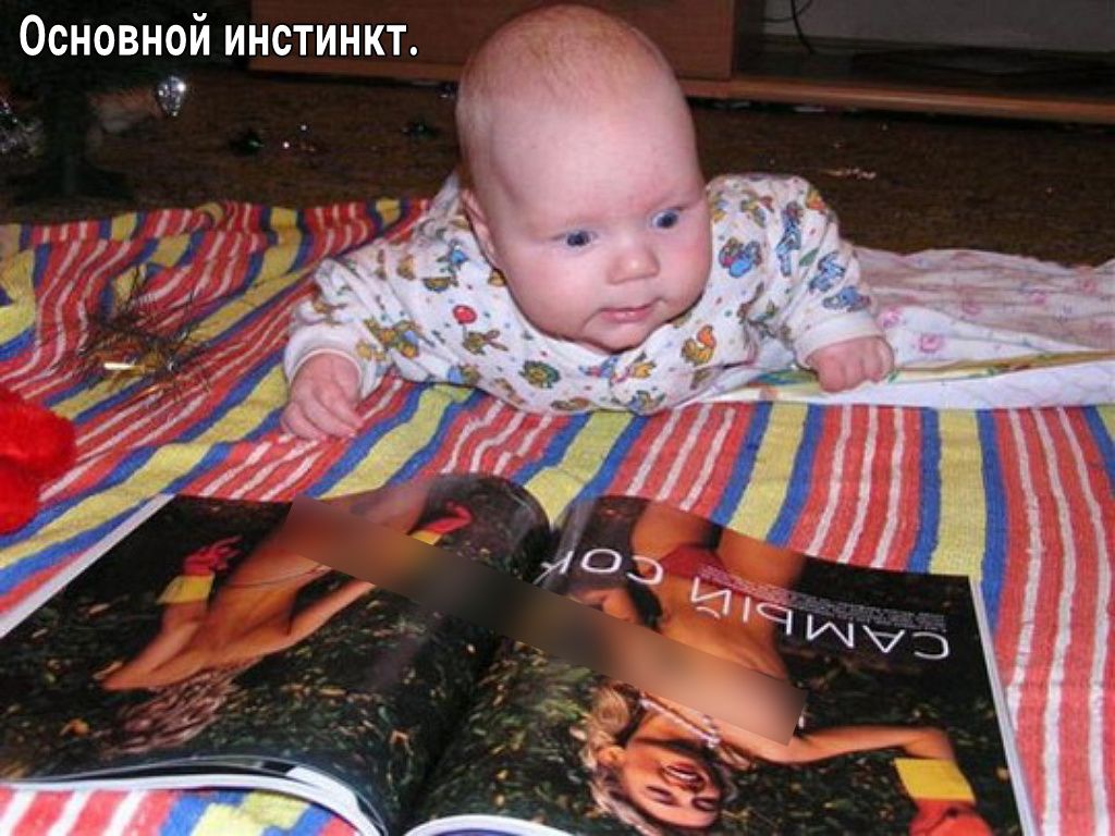 ОСНОВНОЙ ИНСТИНКТ