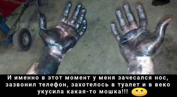 И именно в этот момент у меня зачесался нос зазвонил телефон захотелось в туалет и в веко укусила какая то мошк
