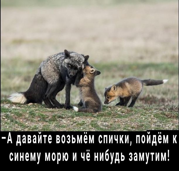 РА дав озьмики пойдём синему морю и чё нибудь замутим