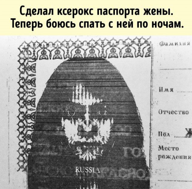 Сделал ксерокс паспорта жены Теперь боюсь спать с ней по ночам Отчесгво 5 Под и 5 Место реж мч