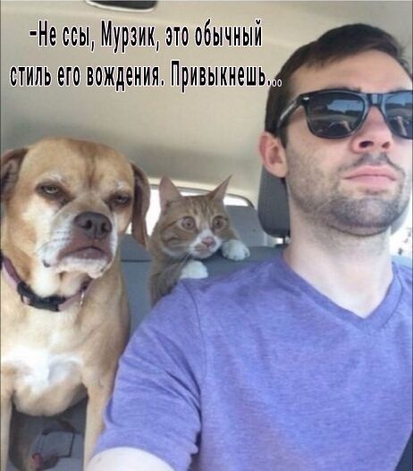 Не ссы Мурзик это обычный _сдиль еговождеиия Привыкиешь
