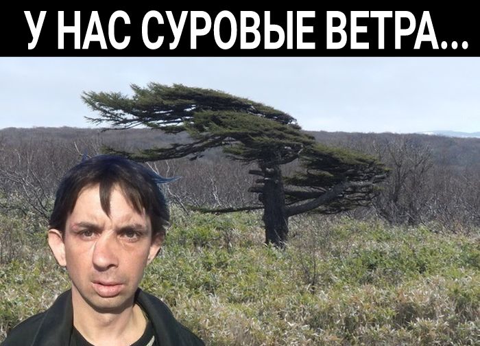 У НАС СУРОВЫЕ ВЕТРА