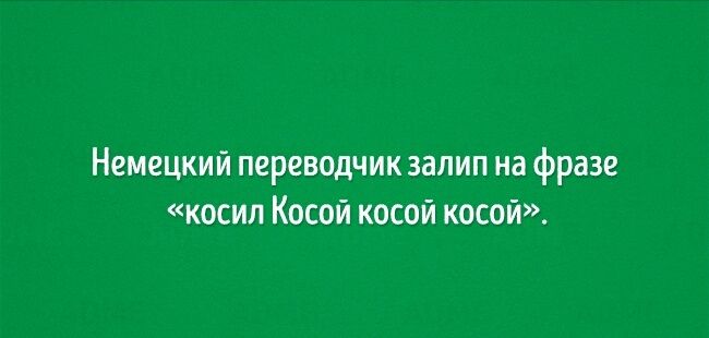 Немецкий переводчик залип на фразе косил Косой косой косой