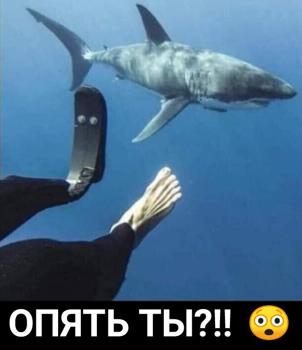 ОПЯТЬ ТЬ