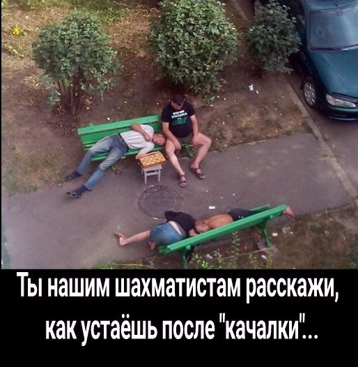 Ты нашиМШахматистам расскаЖи как устаешь после качалки