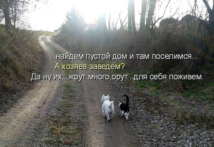 н Йдем пустой дом и там посепимся А хозяев заведем Да жрут многоорутідпя себя поживем