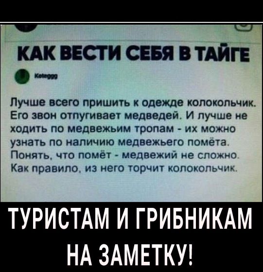 КАК вести сия в ТАЙГЕ ш Лучше всего пришить одежде колокольчик Его звон отпугиваы медведей И пучше не ходить по медвежьим тропам их можно узнать по наличию медвежьего помета Поить что помет медвежий не сподно Как правило из него горчм юпоюпьщц ТУРИСТАМ И ГРИБНИКАМ НА ЗАМЕТКУ
