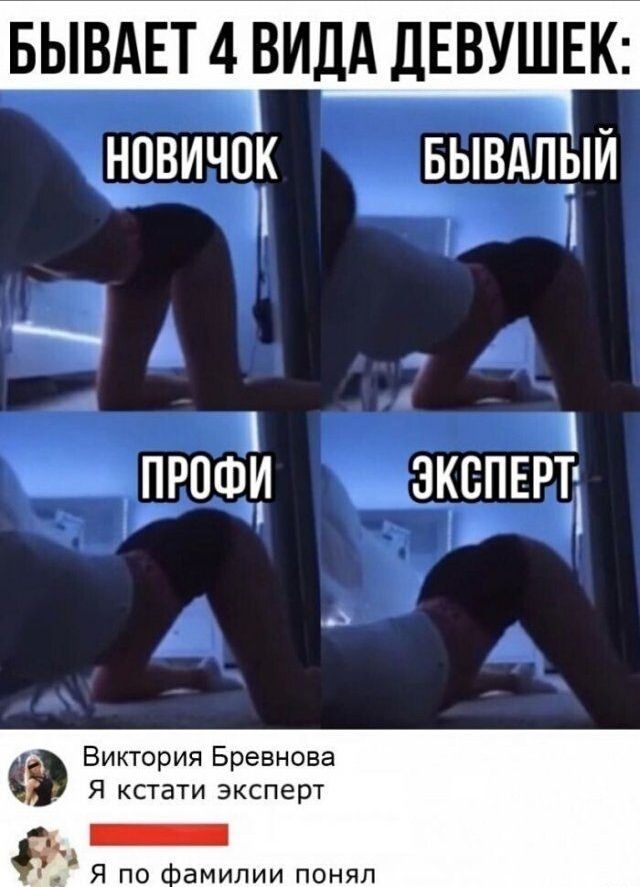БЫВАЕТ 4 ВИДА ДЕВУШЕК НОВИЧШГ БЫВАЛЫЙ ПРОФИ ЭКСПЕРТ Виктория Бревнова Я кстати эксперт Ё Япо памилиипоняп
