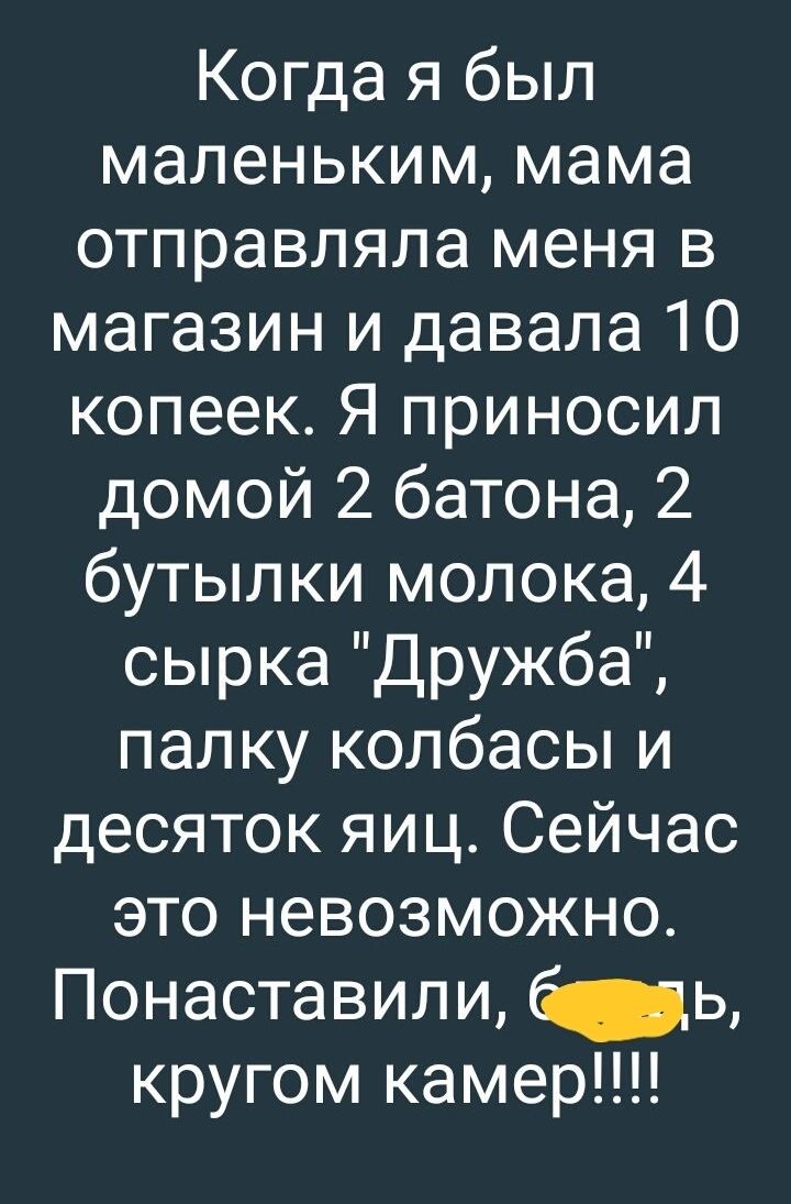 Когда я был маленьким мама отправляла меня в магазин и давала 10 копеек Я приносил домой 2 батона 2 бутылки молока 4 сырка Дружба палку колбасы и десяток яиц Сейчас это невозможно Понаставили _ь кругом камер