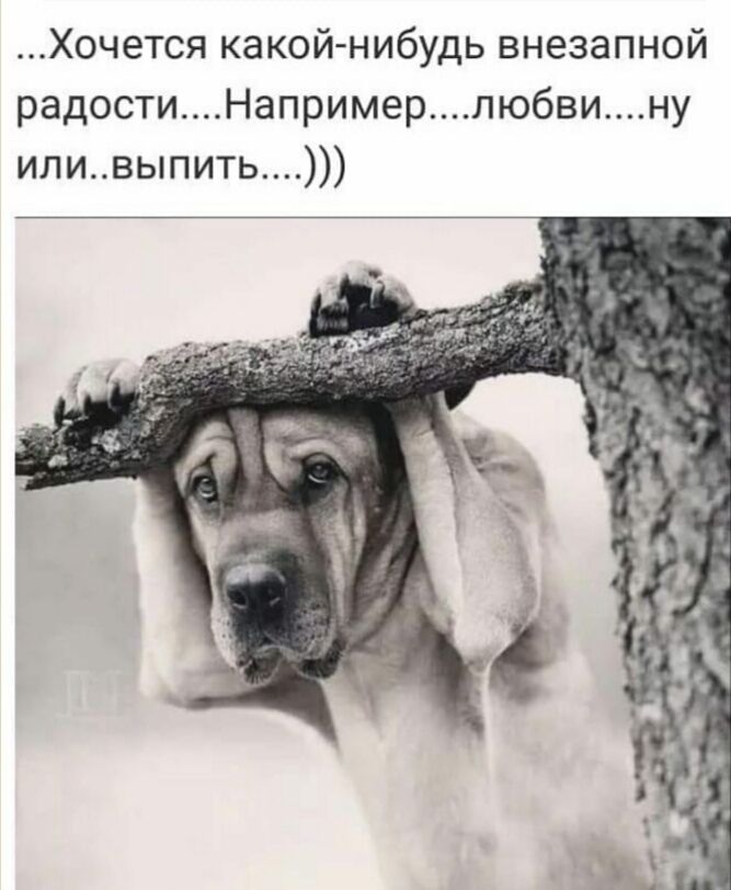 Хочется какой нибудь внезапной радостиНапримерлюбвину иливыпить