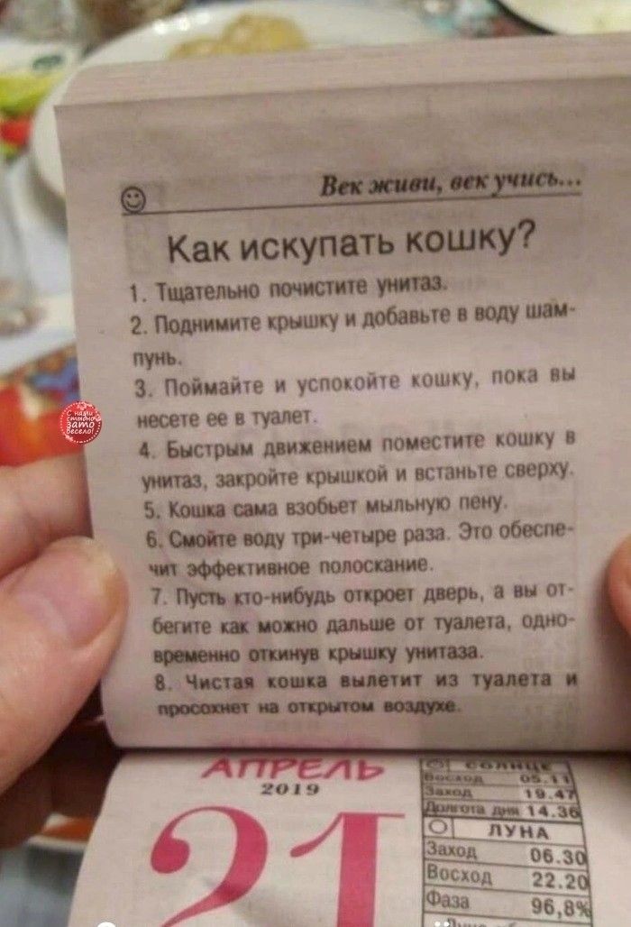_ а гззщчд 7 і как ис тнт _ 2_ Фи добавив в году ши 34 Поймайте успопойю пишу пока вы моете ее в туалет 4 Высшим длившиеся поиесште кошку в крышкой и шаные сверху 5 Кочиш побьет пыльную пену п щ ти чешре раза Эго обши чи оценит дверь и вы от от мита