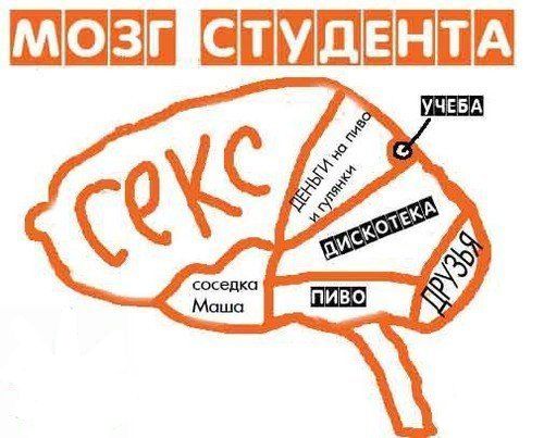 Мозгстудента