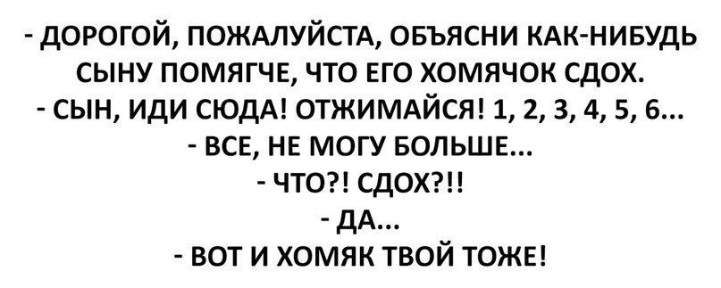 дорогой ПОЖАЛУЙСТА овъясни КАК НИБУДЬ сыну помягче что его хомячок сдох сын иди СЮДА ОТЖИМАЙСЯ 1 2 з 4 56 всв нв могу БОЛЬШЕ что сдохгц дА вот и хомяк твой тожв