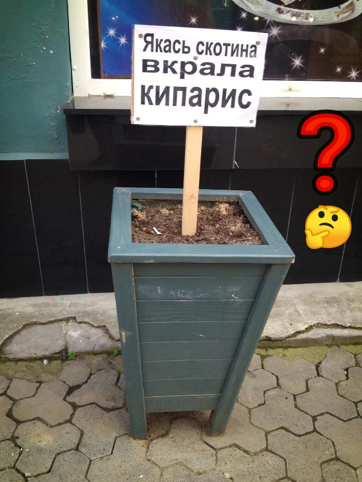 Й якась скотина  вкрала
