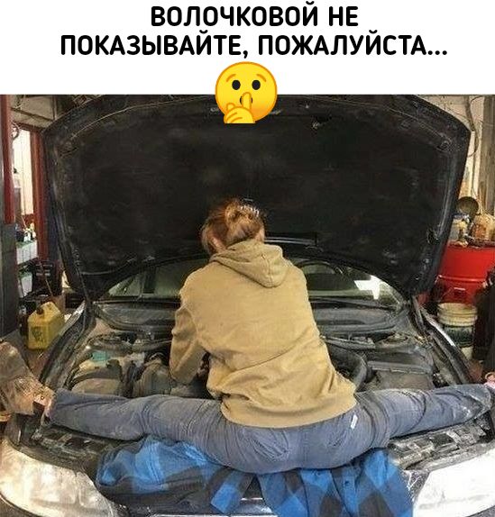 волрчковой нв помзывмтв пожмуисм