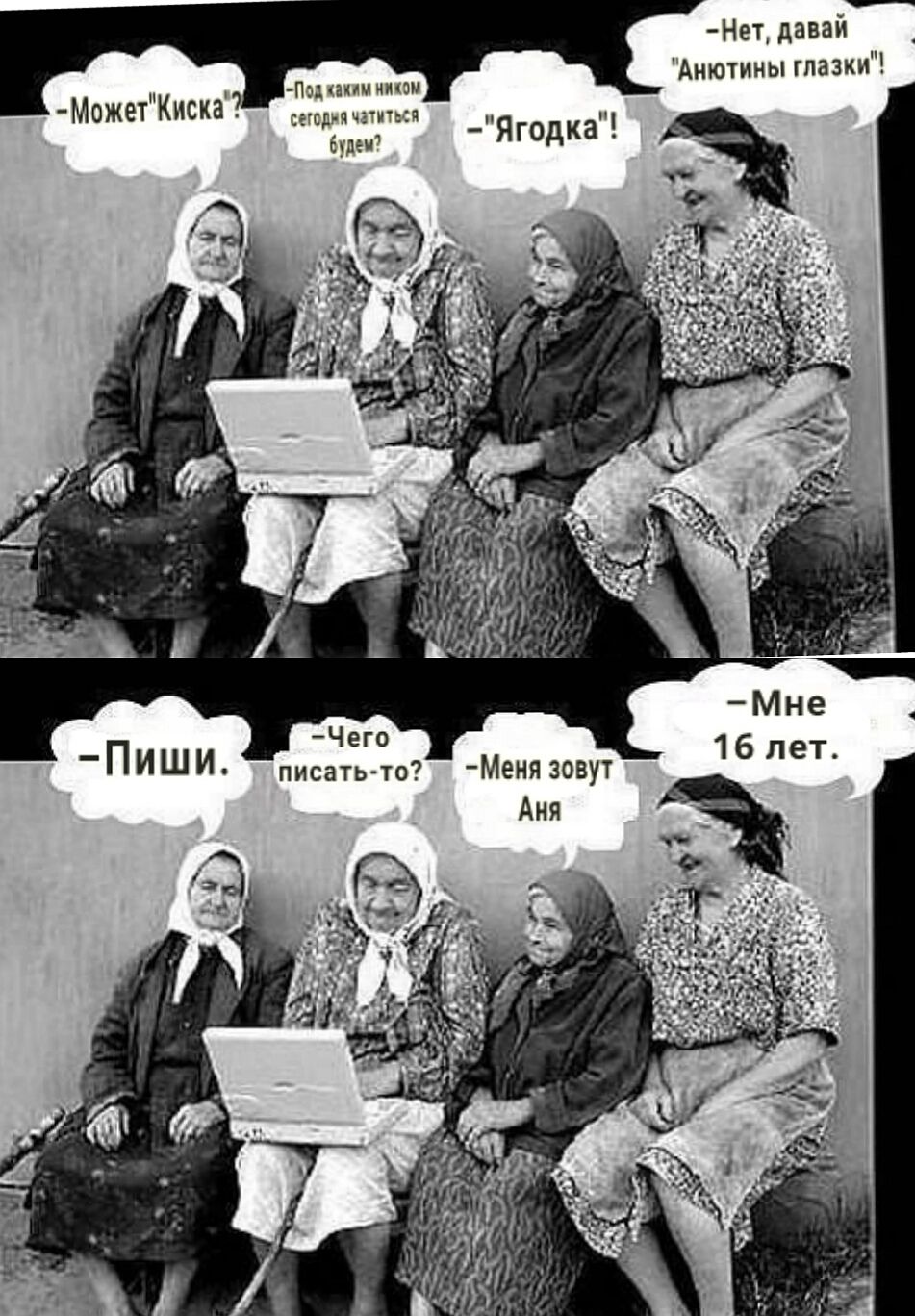 __ Нет давай Анютины глазки дамами ити сеют Мэтт
