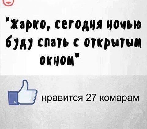 жцжо сегодня ночью буду спать с открытым окном нравится 27 комарам