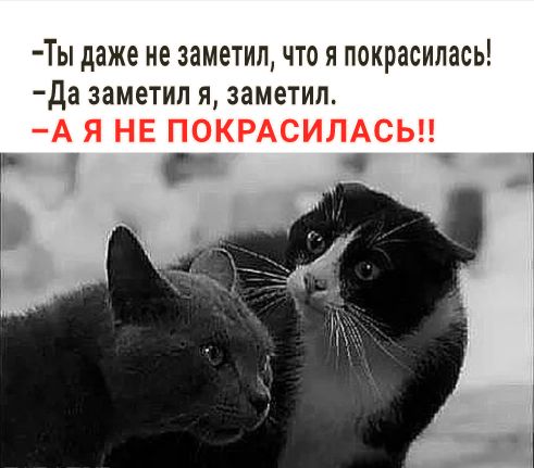 Ты даже не заметил, что я покрасилась! Да заметил я, заметил. 