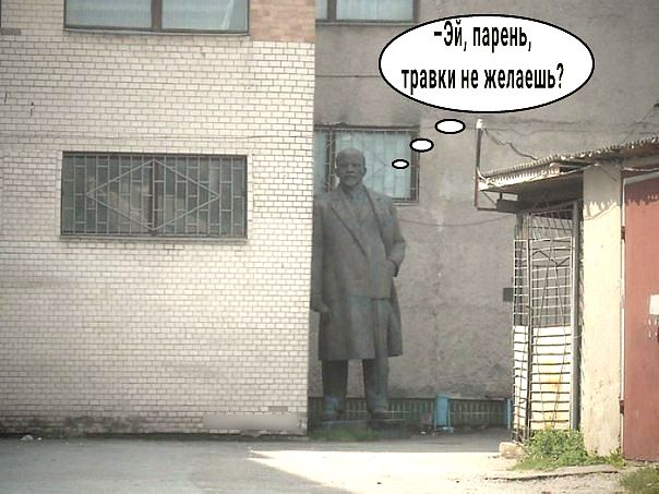 возрастом вопрос встаёт ребром квасить ипи кефирить