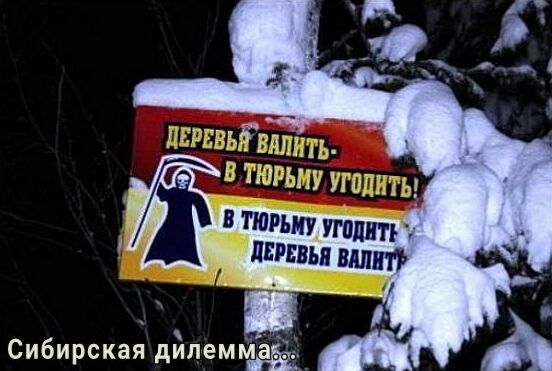 Сибирская дйпемйаёъ