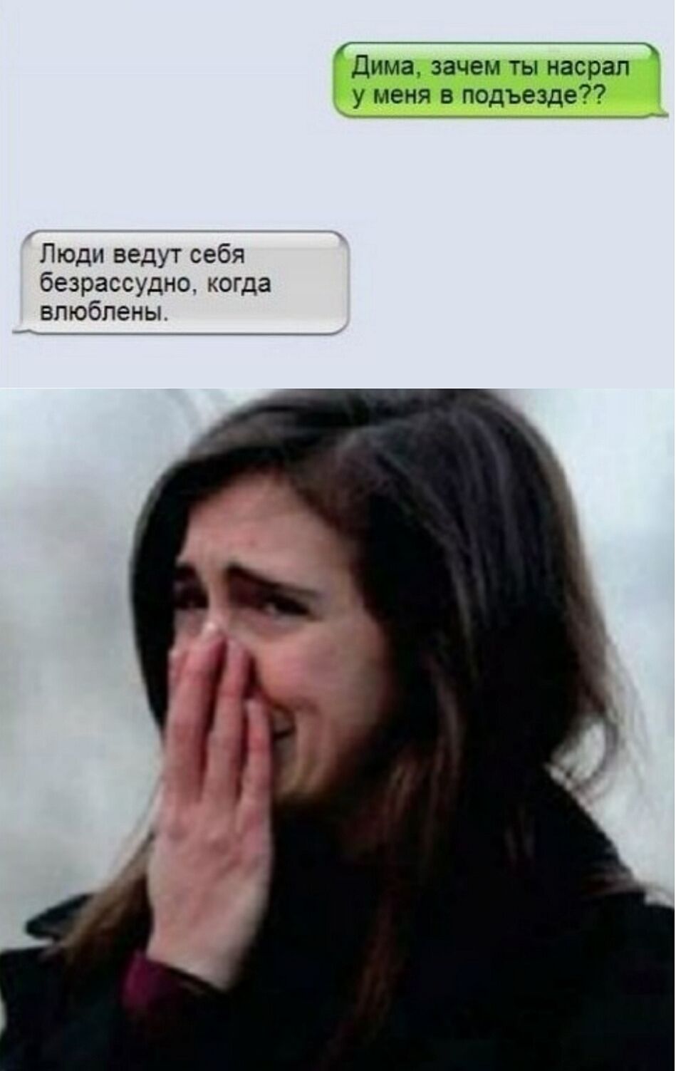 Дима зачем ты насрал у меня в подъезде Люди ведут себя безрассудно когда влюблены