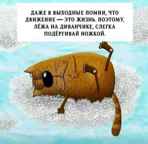 мж в выходные помни что движение это жизнь поэтому ліжд НА дипднчикв СЛЕГКА подЁггивдй ножкои