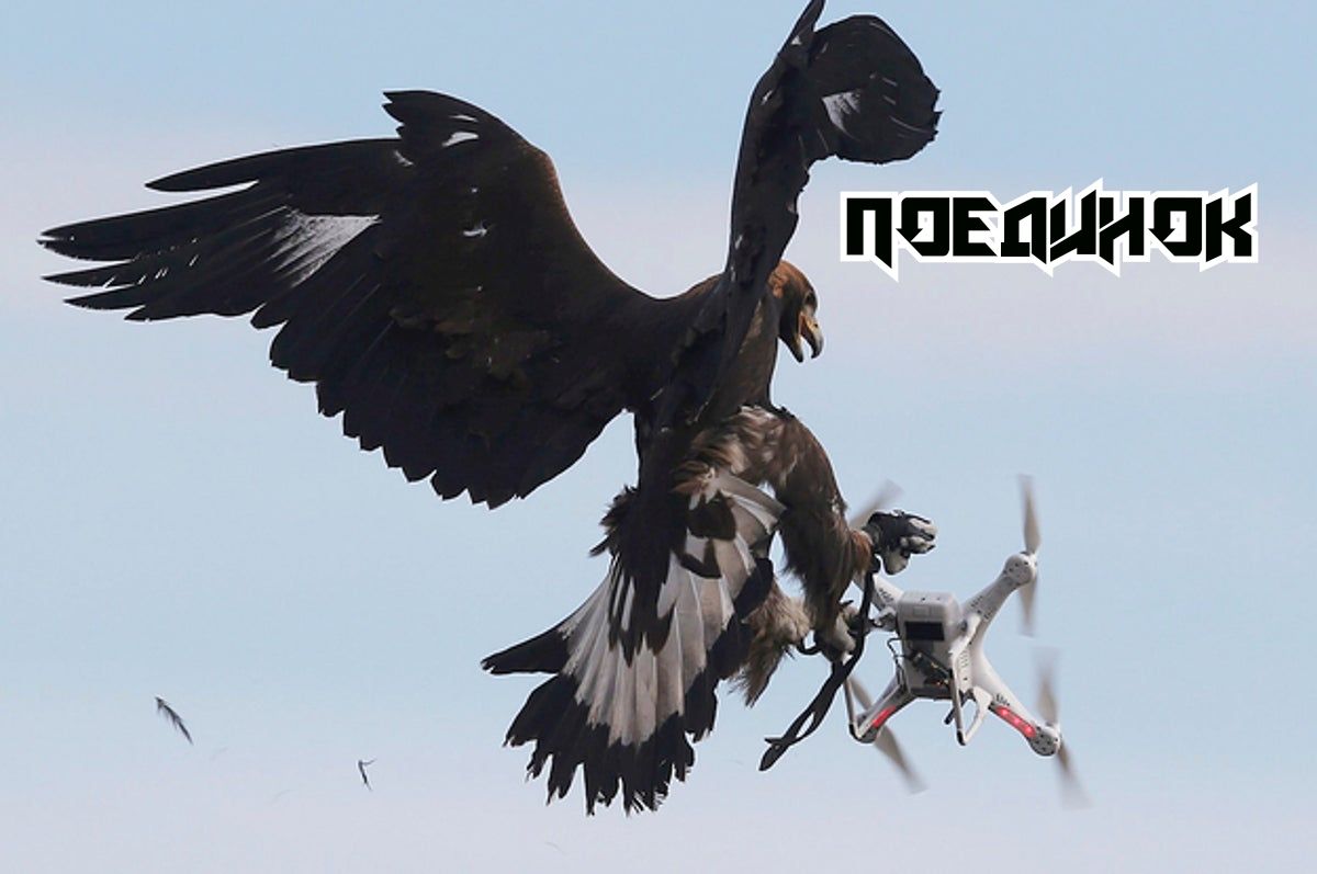 Поедчнок