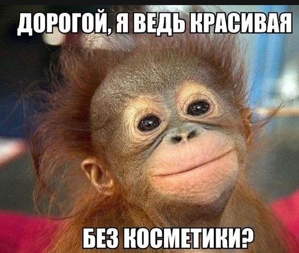 додатрй я БЕЗ НПВМБШНИ