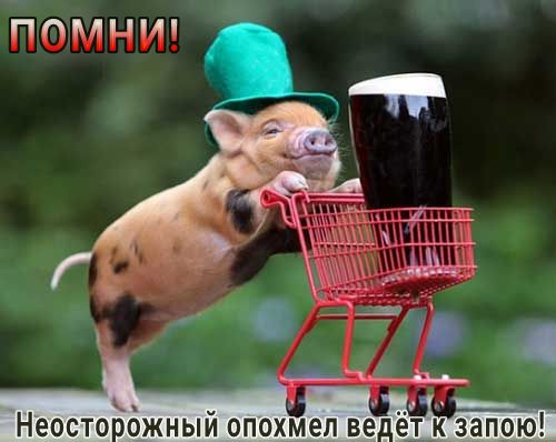 ПдШППА