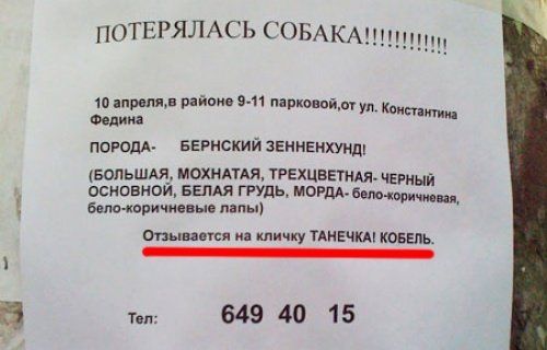 пОТЕРЯЛАСЬ СОБАК ищи 10 и ряйпм 911 парковпйм Федина у М порош БЕРнскийзЕннЕпхунд вольшщ мохнпдя трехцввгндя цв основном вымя грудь норма мирд билокоричневые липы сшивания ид кличку тливчш ковыль т 649 40 15