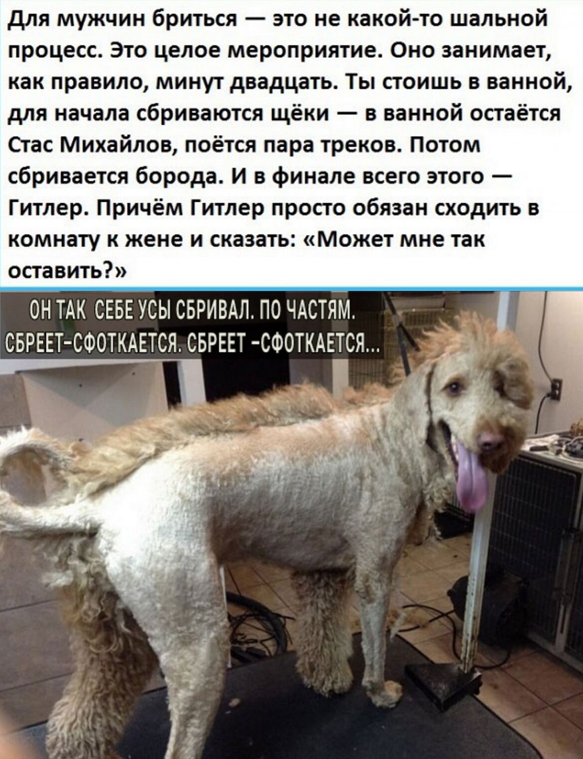 для мужчин бриться это не какой то шальной процесс Это целое мероприятие Оно занимает как правило минут двадцать Ты стоишь в ванной для начала сбриваются щёки в ванной остаётся Стас Михайлов поётся пара треков Потом сбривается борода И в финале всего этого Гитлер Причём Гитлер просто обязан сходить в комнату к жене и сказать Может мне так оставить ОН ТАК СЕБЕ УСЫ СБРИВАЛ ПО ЧАСТЯМ 7 СБРЕЕТ СФОТКАЕ