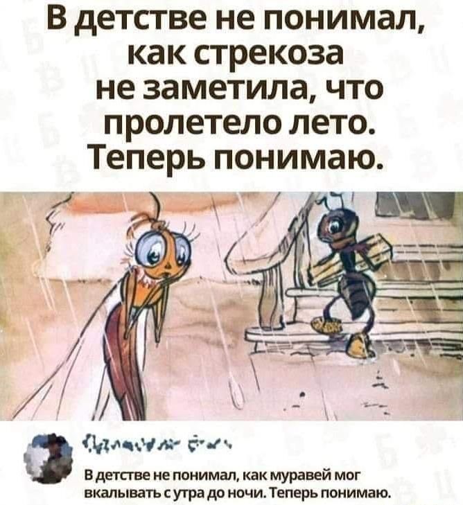 В детстве не понимал как стрекоза не заметила что пролетело лето Теперь понимаю В детсгве не понимал как муравей мог вкалывать с утра до ночи Теперь понимаю