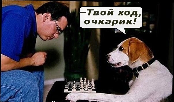 зн е Твой ход очкарик п м