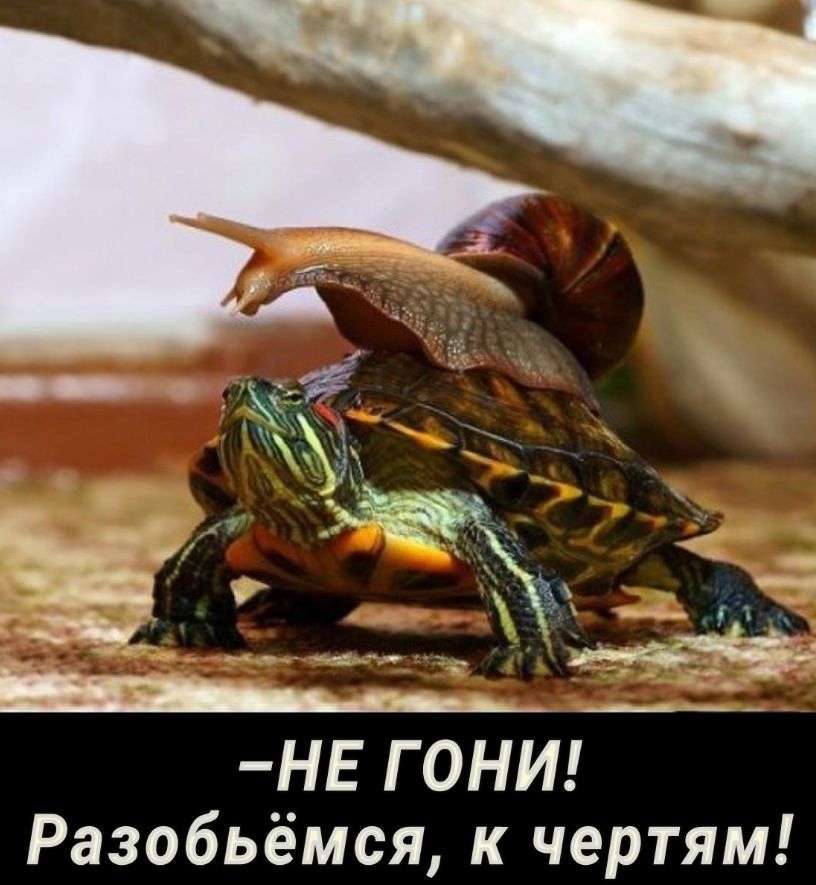 НЕ ГОНИ Разобьёмся к чертям