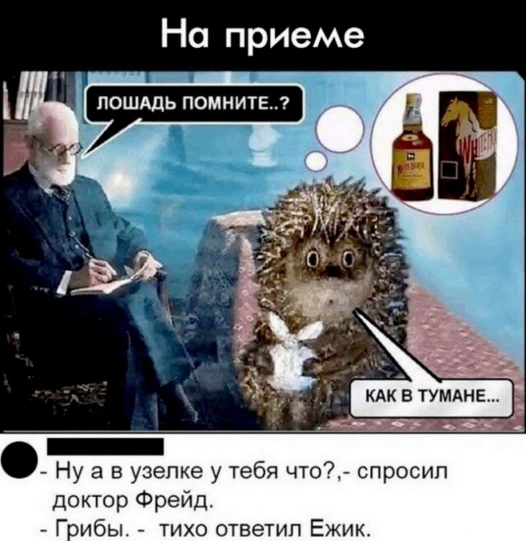 На приеме _ Ну а в узепке у тебя что спросил доктор Фрейд Гоибы тихо ответил Ежик