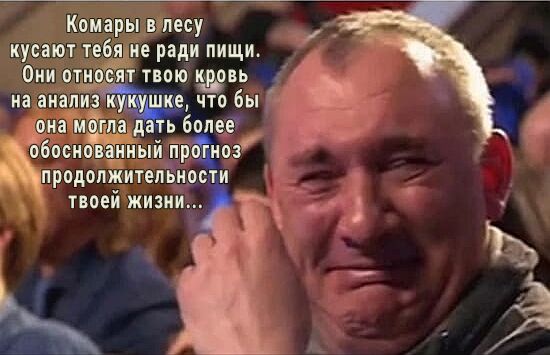 Комарыквтёсу кусают теб не ради пищи Они отп ЁЁТ твою щвь иа апад что бы на мій ца ь боле обосновёиыи гТрЁоз продолжитепьдсрс и твоей жизни