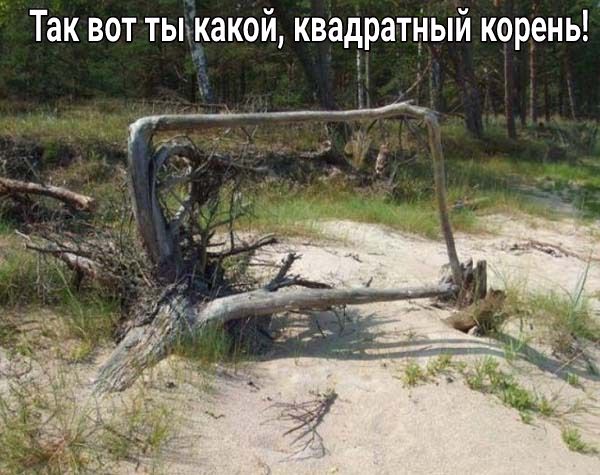 Так вот тыікакой квадратный корень