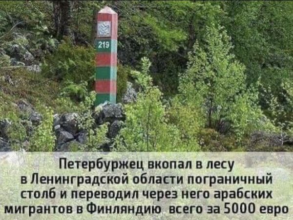 Петербуржец вкопап в лесу в Ленинградской области пограничный столб и переводил через него арабских мигрантов в Финляндию всего за 5000 евро