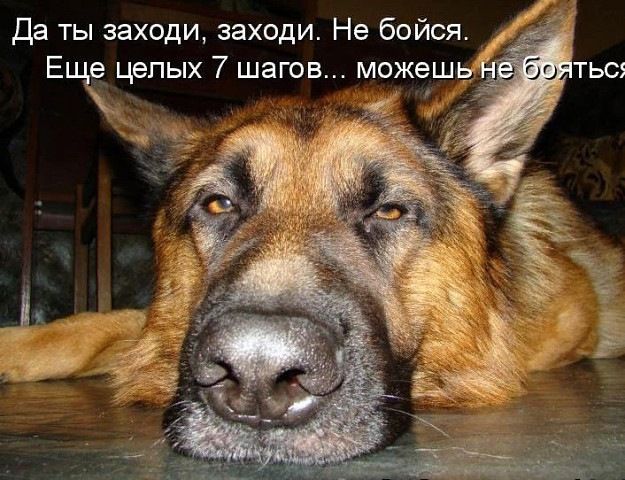 ТЬС5