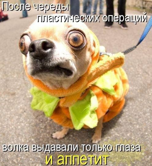 гост череда ФЦ пласгиъ за их о гщии 5 ЕЮПКЕі
