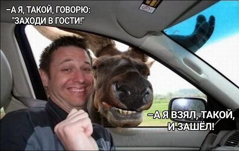 Ая ТАКОЙ говорю ЗАХОДИ в гостиг А 331 взялТАкой