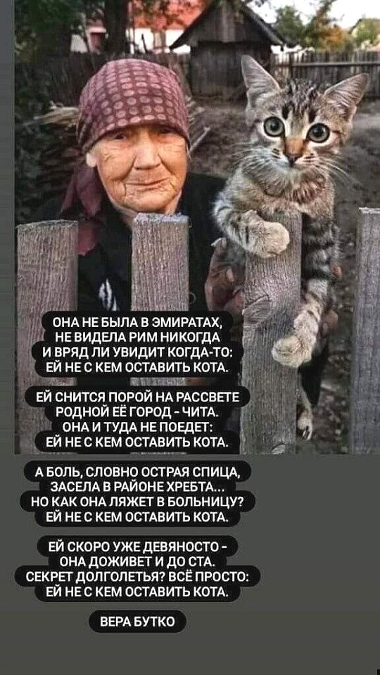 Ш А 1 ОНА не вым в эмирдтдх 1 НЕ видвлд рим НИКОГДА _ и вряд ли увидит когдА то ЕЙ НЕ с кем ОСТАВИТЬ КОТА 1111151125 ЕЙ снится_по_Рой НА РАССЕЕГЕ родном ЕЕ городчим _ОНАИТУДАНЕПОЕДЕТ _ ЕИ НЕ с кем остАвить КОТА А БОЛЬ СЛОВНО ОСТРАЯ СПИЦА ЗАСЕЛА В РАЙОНЕ ХРЕБТА НО КАК ОНА ПЯЖЕТ В БОПЬНИЦУ ЕЙ НЕ С КЕМ ОСТАВИТЬ КОТА ЕЙ СКОРО УЖЕ дЕВйНОСТО ОНА ДОЖИВЕГ И до СТА СЕКРЕТ ДОЛГОПЕТЬЯ ВСЁ ПРОСТО ЕЙ НЕ С КЕМ 