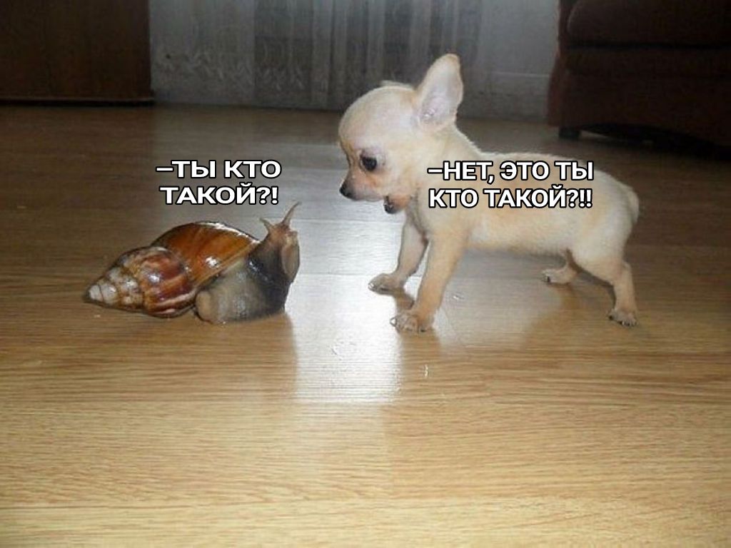 ЧНЁТБЩТЫ ь тжэйгп