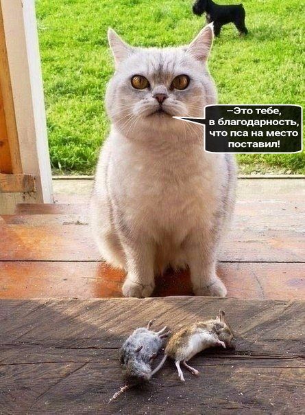 Это тебе, в благодарность,