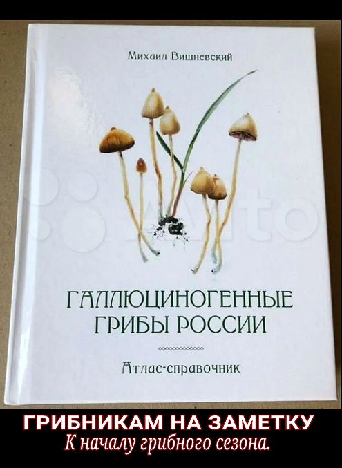 Мнхщп Ншппсщмт Г ПППЮЦИНОГЕННЫЕ ГРИБЫ РОССИИ Птппссправсчник Ъ ГБНИКАМ НА ЗАМЕТ К началу грибного сезона