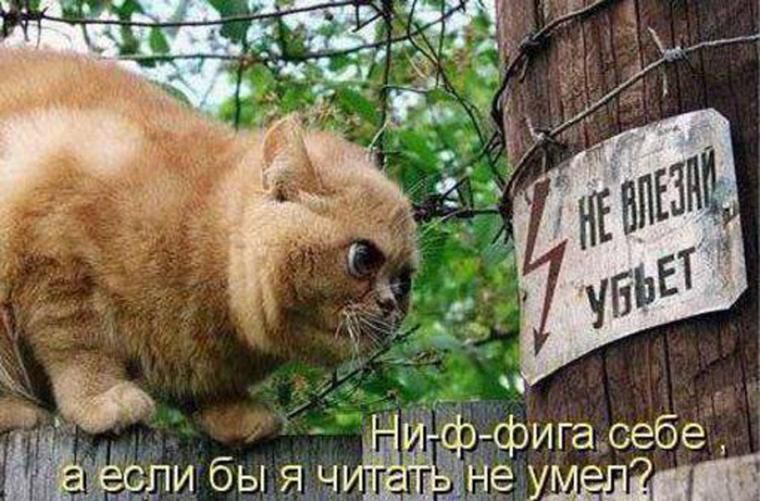 фи гасебё Бауман 1