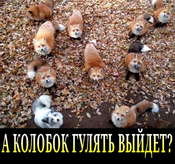 А КОААААА ПАЛАТА ААА ААА ТТ