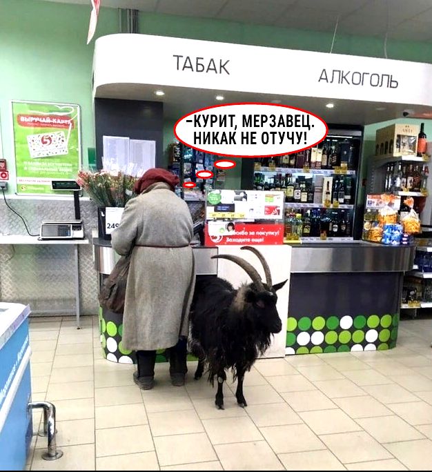 Ее курит, мерзаве г. В, никак не отучу! Д а 