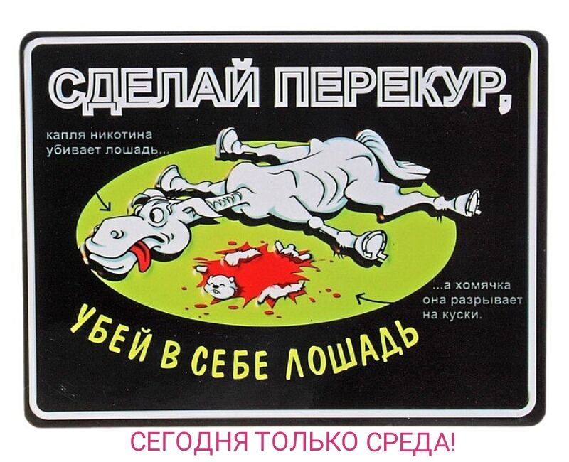 ГИПЕРЕЮР аппн ни НТО ина убивает поьадь а хомячка она разрывае на усни СЕГОДНЯ ТОЛЬКО СРЕДА