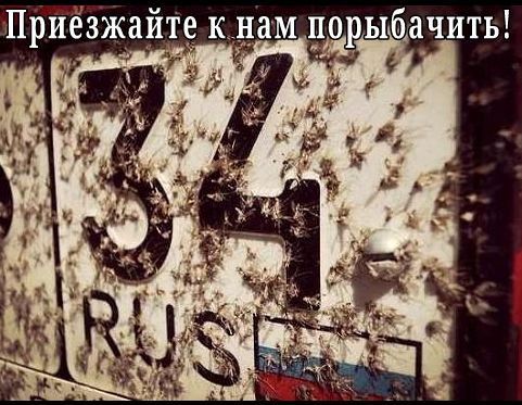 приезжайте к нам порыбачить